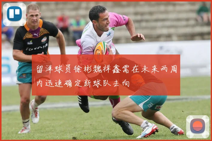 留洋球员徐彬魏祥鑫需在未来两周内迅速确定新球队去向
